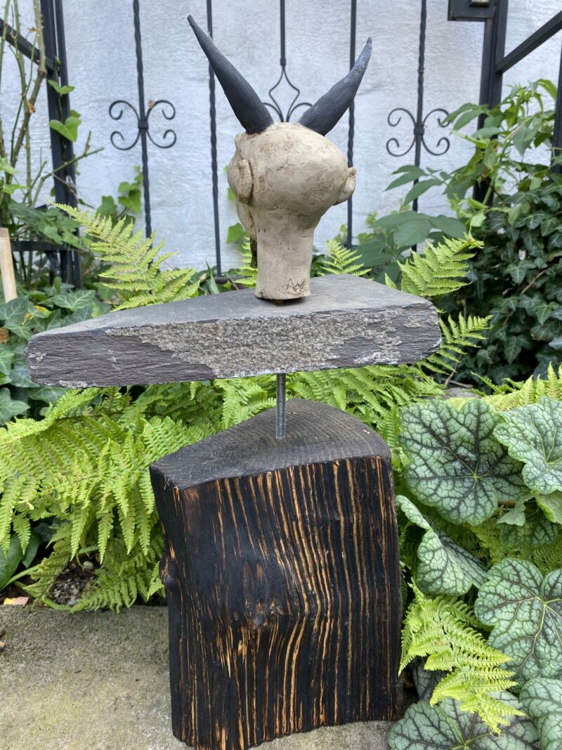 verschiedene Teufelchen – Bild 6