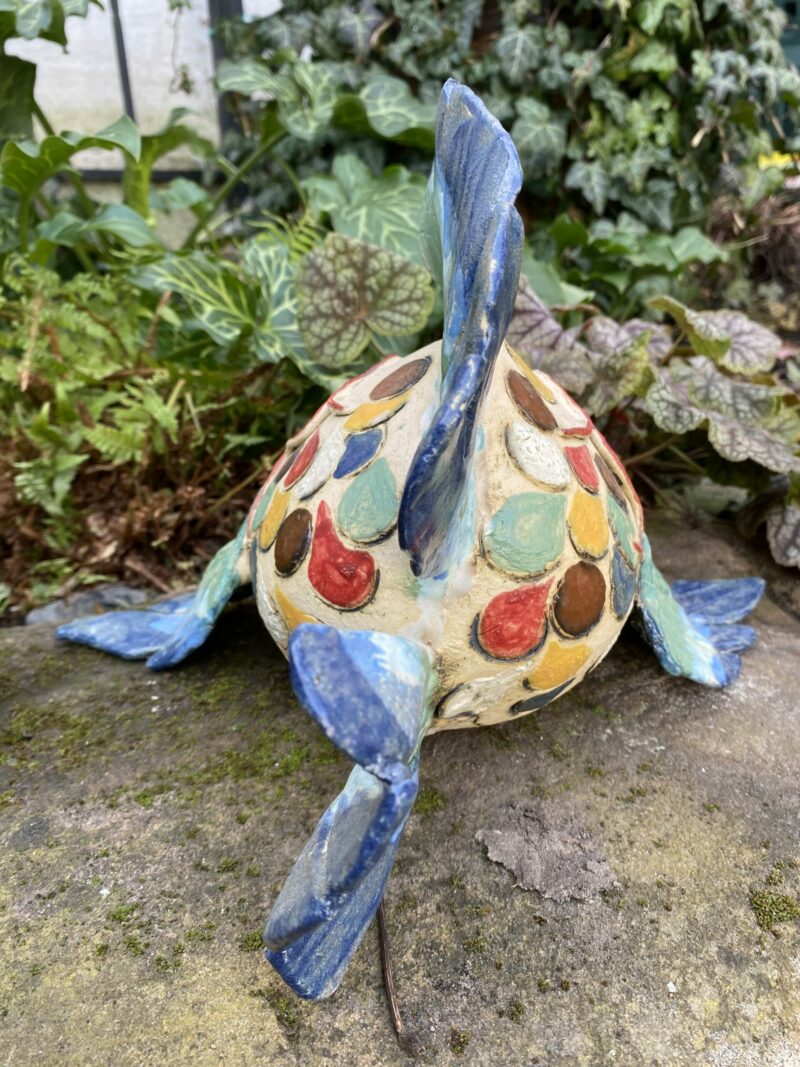 Große Freche Fische (verschieden) – Bild 3