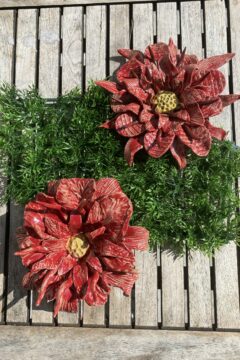 Rote Blüten