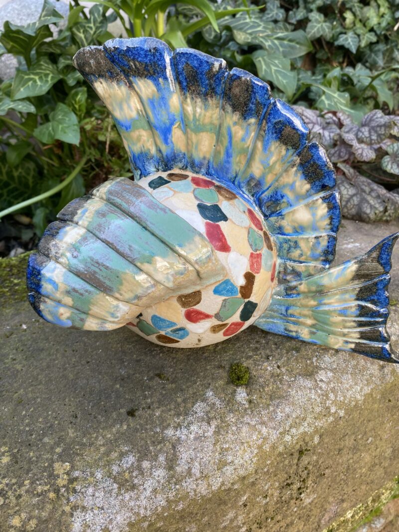 Große Freche Fische (verschieden) – Bild 6