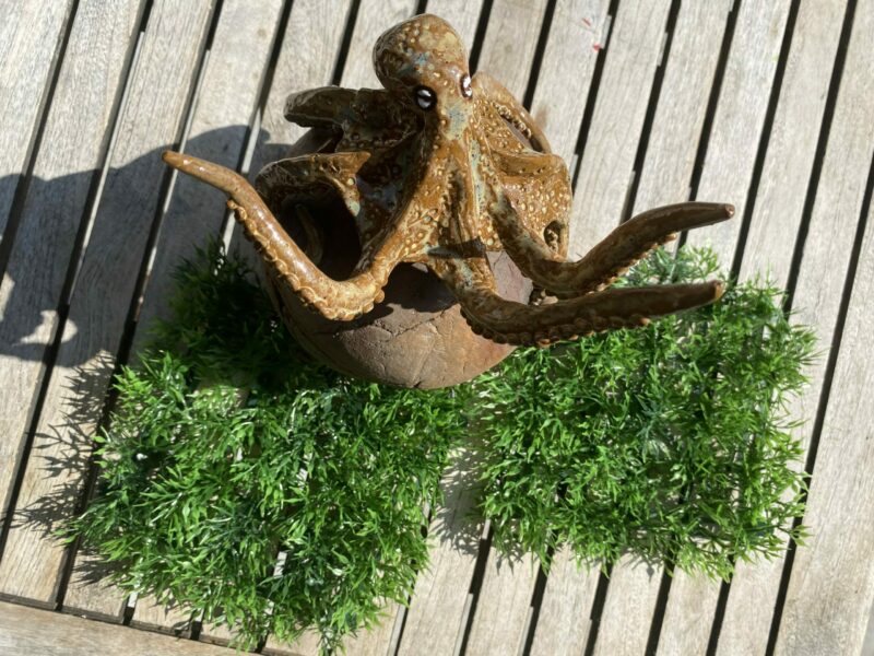 Krake auf Kugel (Kopie) – Bild 4
