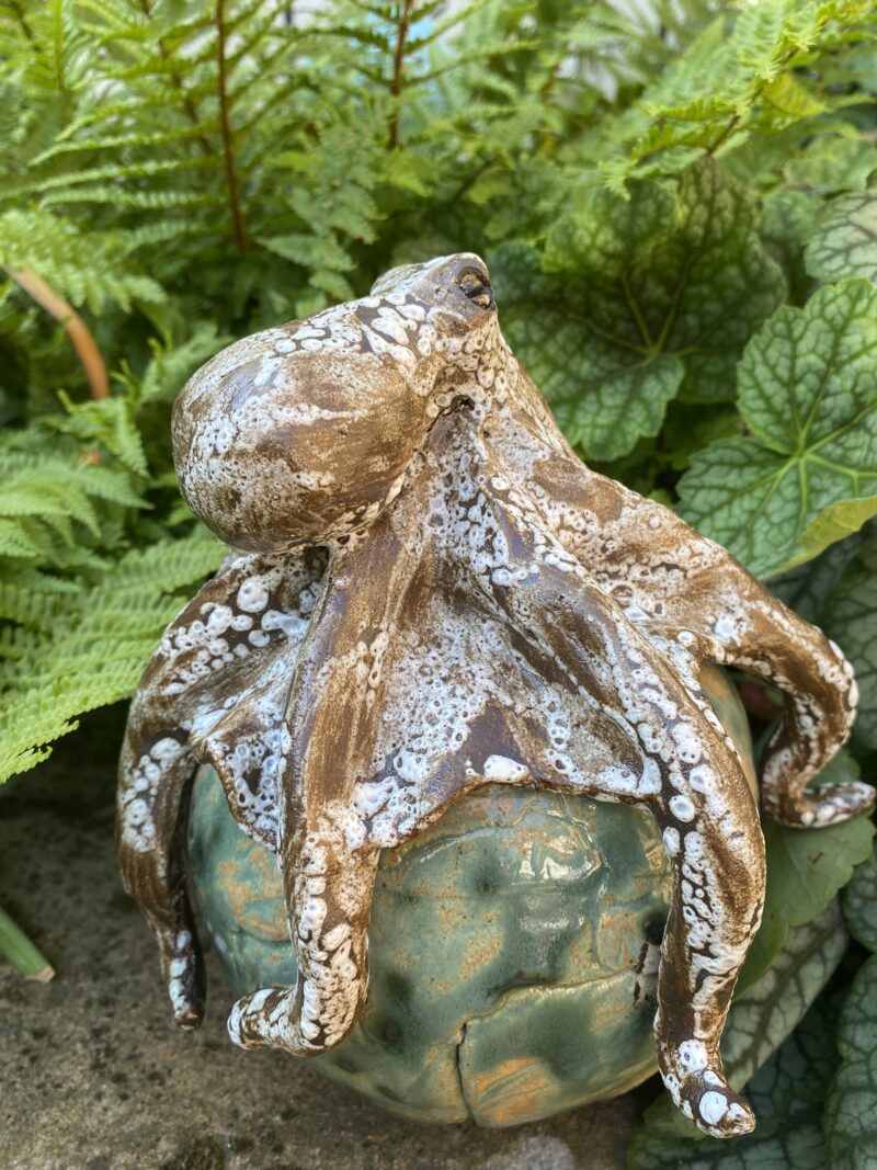 Der Krake (grün) – Bild 2